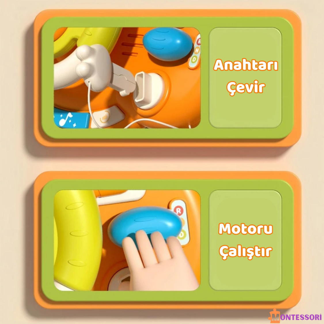 Tavşan Eğitici Direksiyon