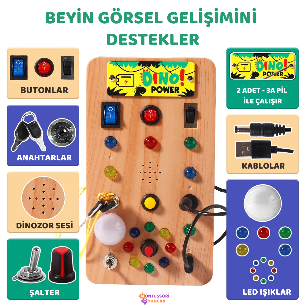Dino Keşif Panosu Montessori