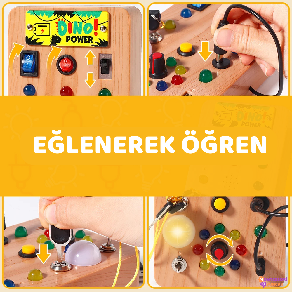 Dino Keşif Panosu Montessori