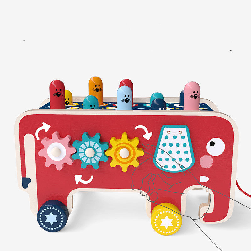 Montessori Eğitici Hayvan Otobüsü