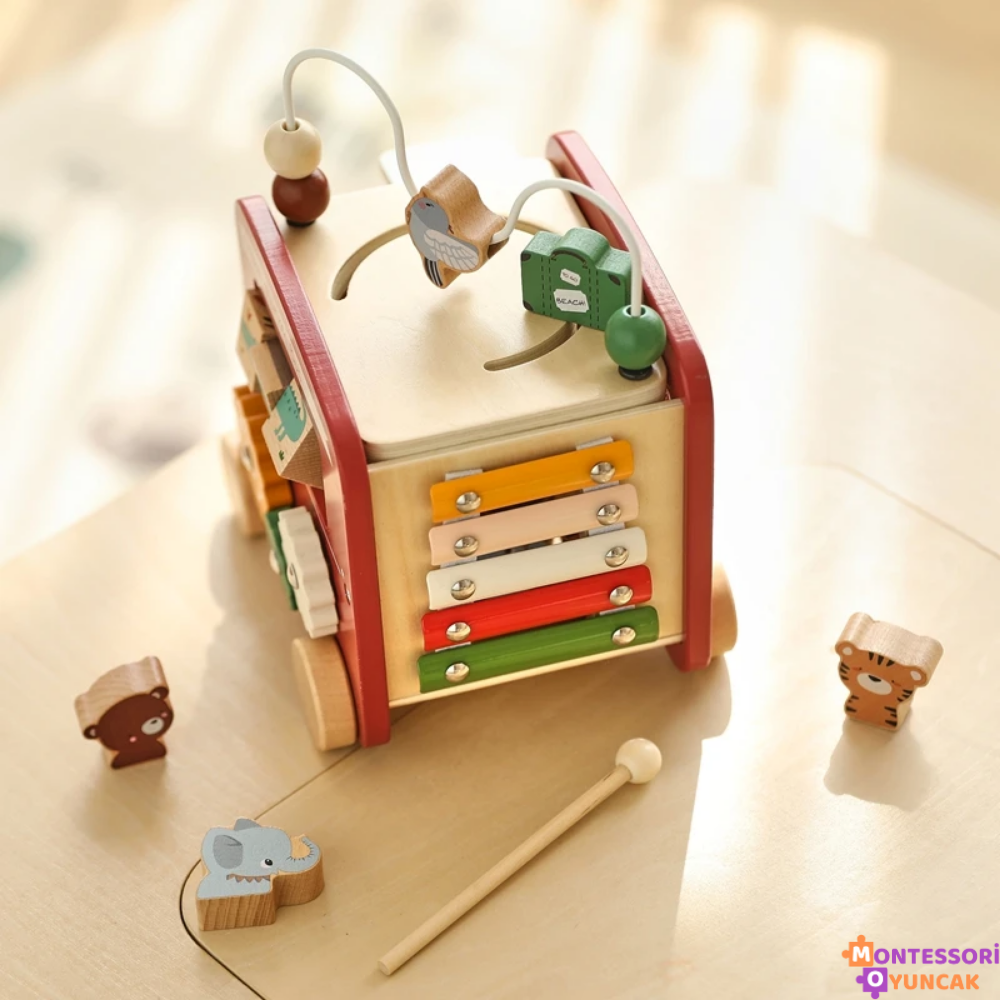 Montessori Akıllı Safari Otobüsü