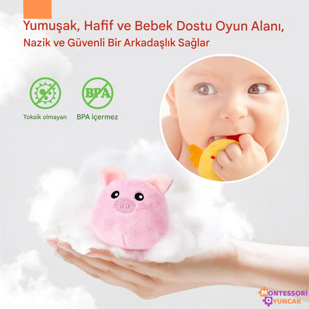 Montessori İlk Çiftliğim