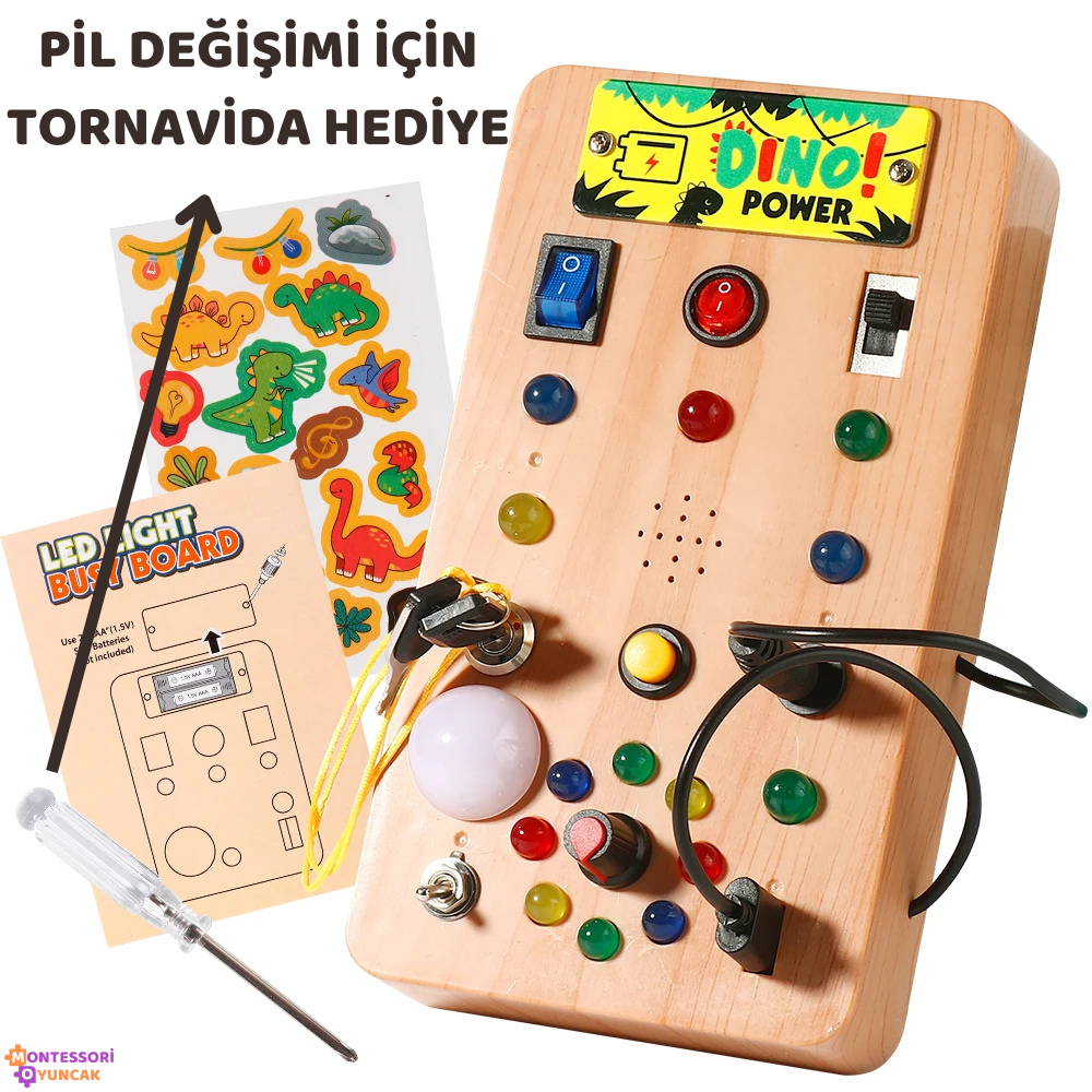 Dino Keşif Panosu Montessori