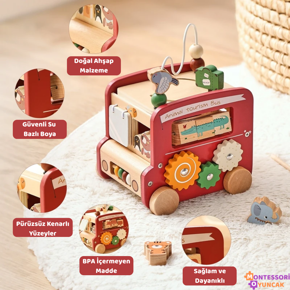 Montessori Akıllı Safari Otobüsü