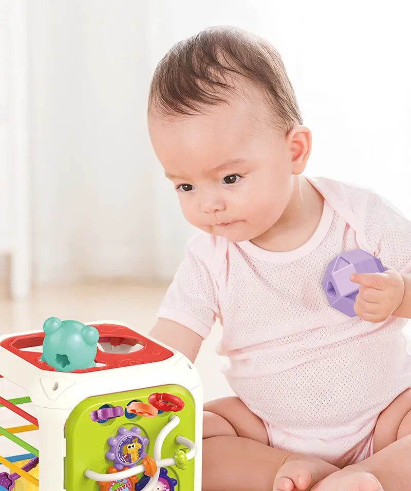 Montessori Fonksiyonel Eğitici Oyuncak Montessori