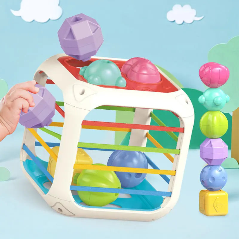 Montessori Fonksiyonel Eğitici Oyuncak Montessori