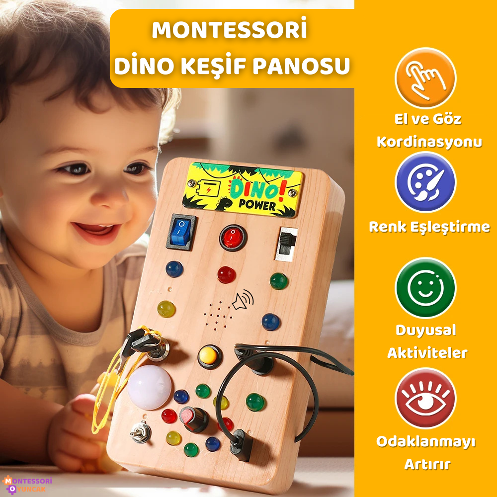 Dino Keşif Panosu Montessori