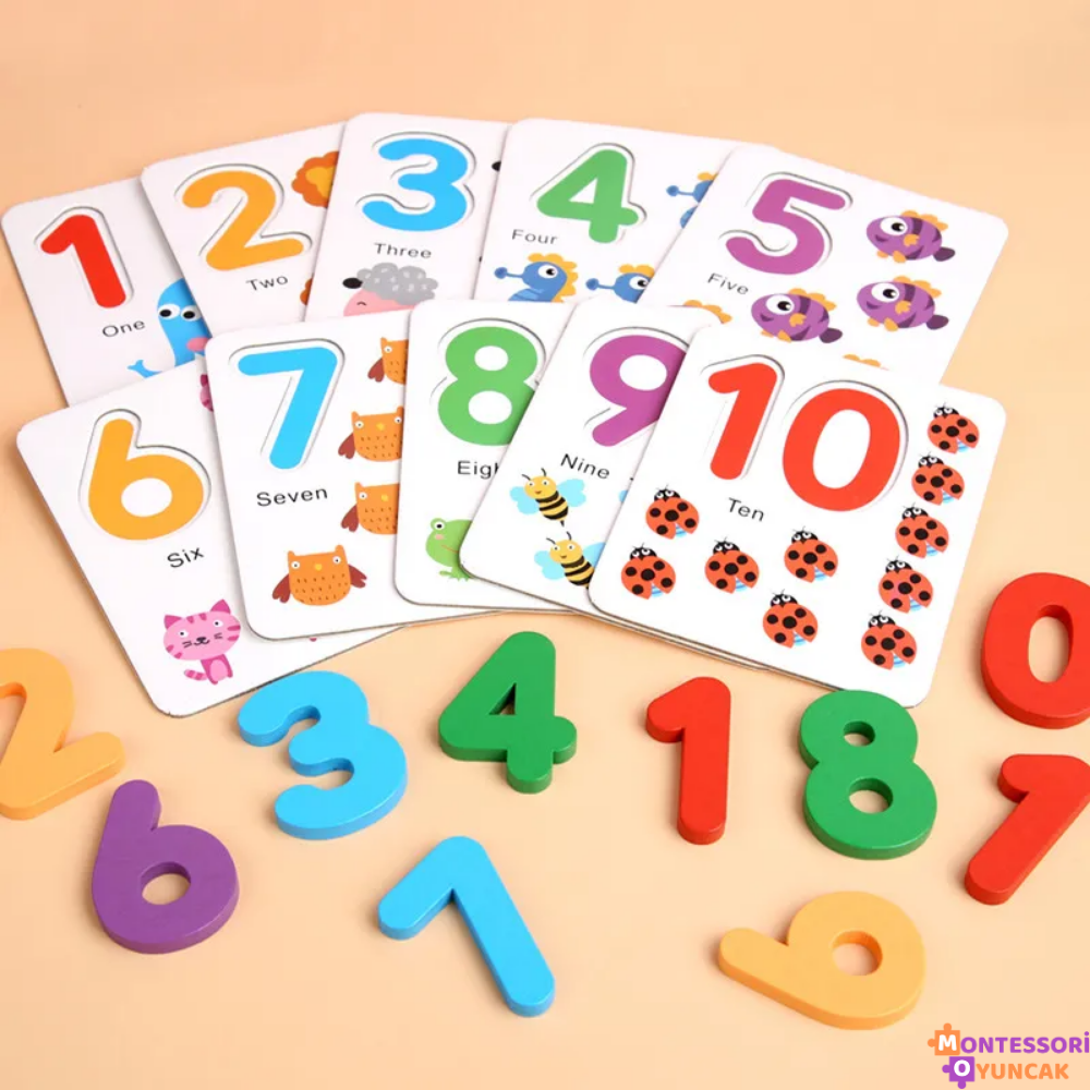 Montessori Okul Öncesi Sayılar