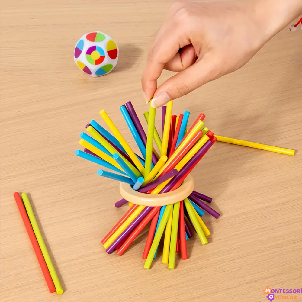 Montessori Ahşap Bulmaca Oyuncak