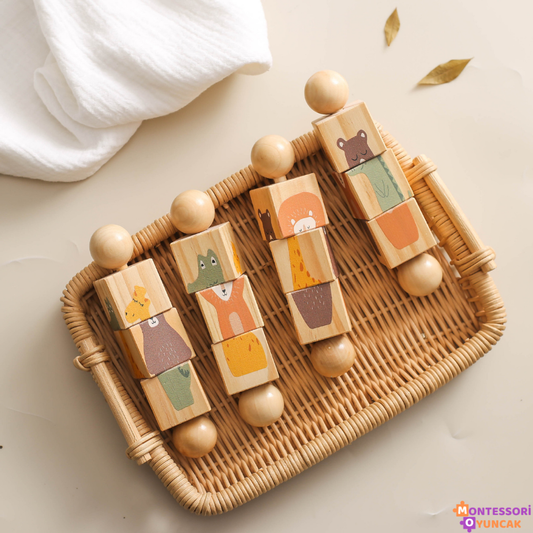 Montessori Ahşap Bulmaca