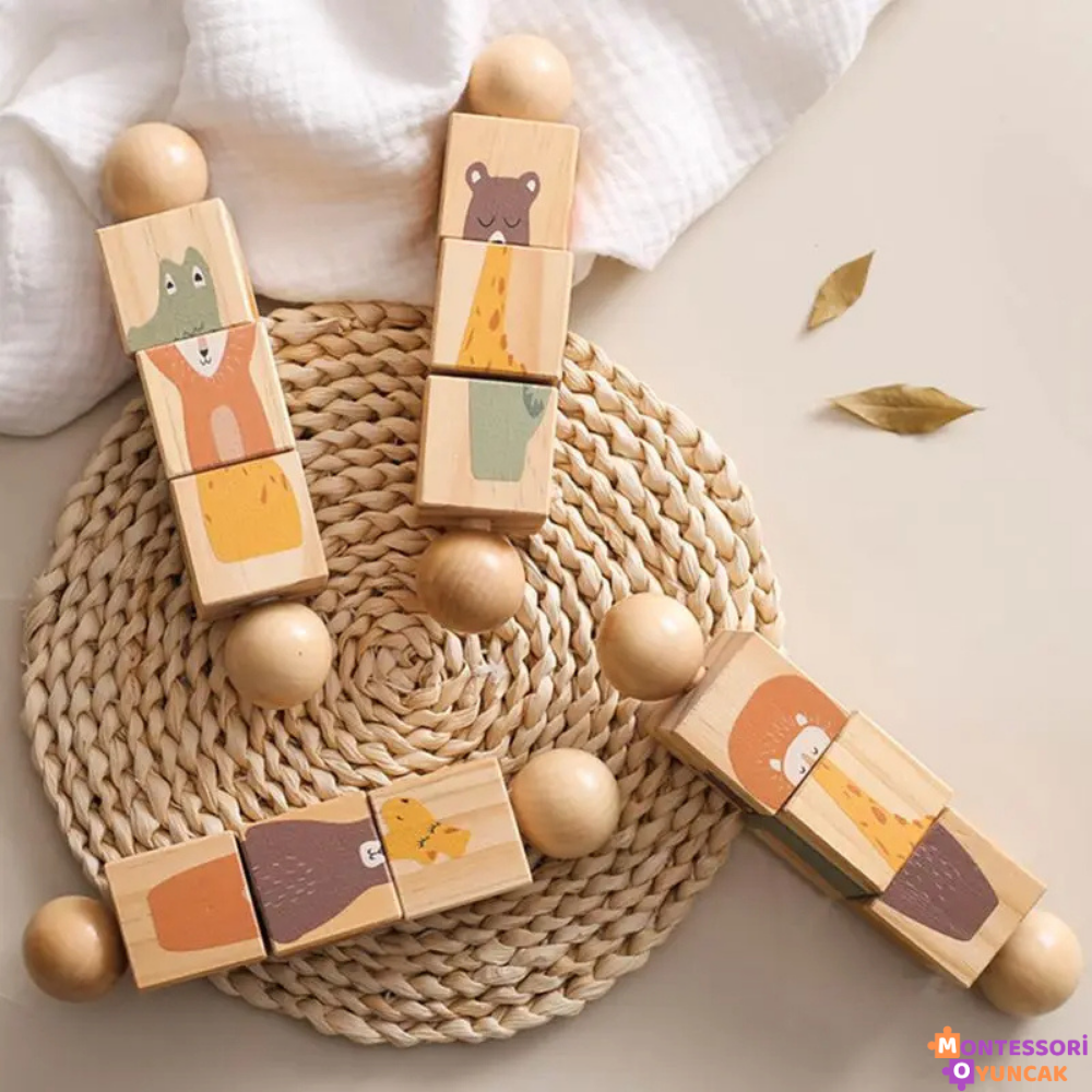Montessori Ahşap Bulmaca