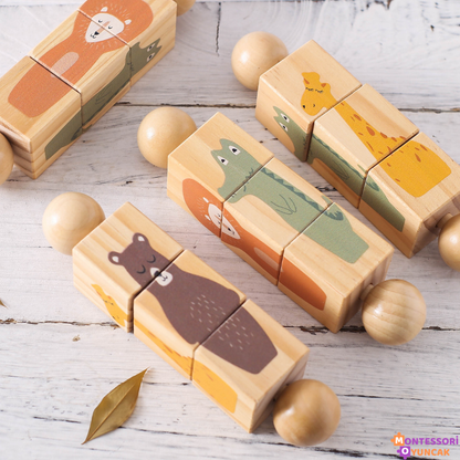 Montessori Ahşap Bulmaca