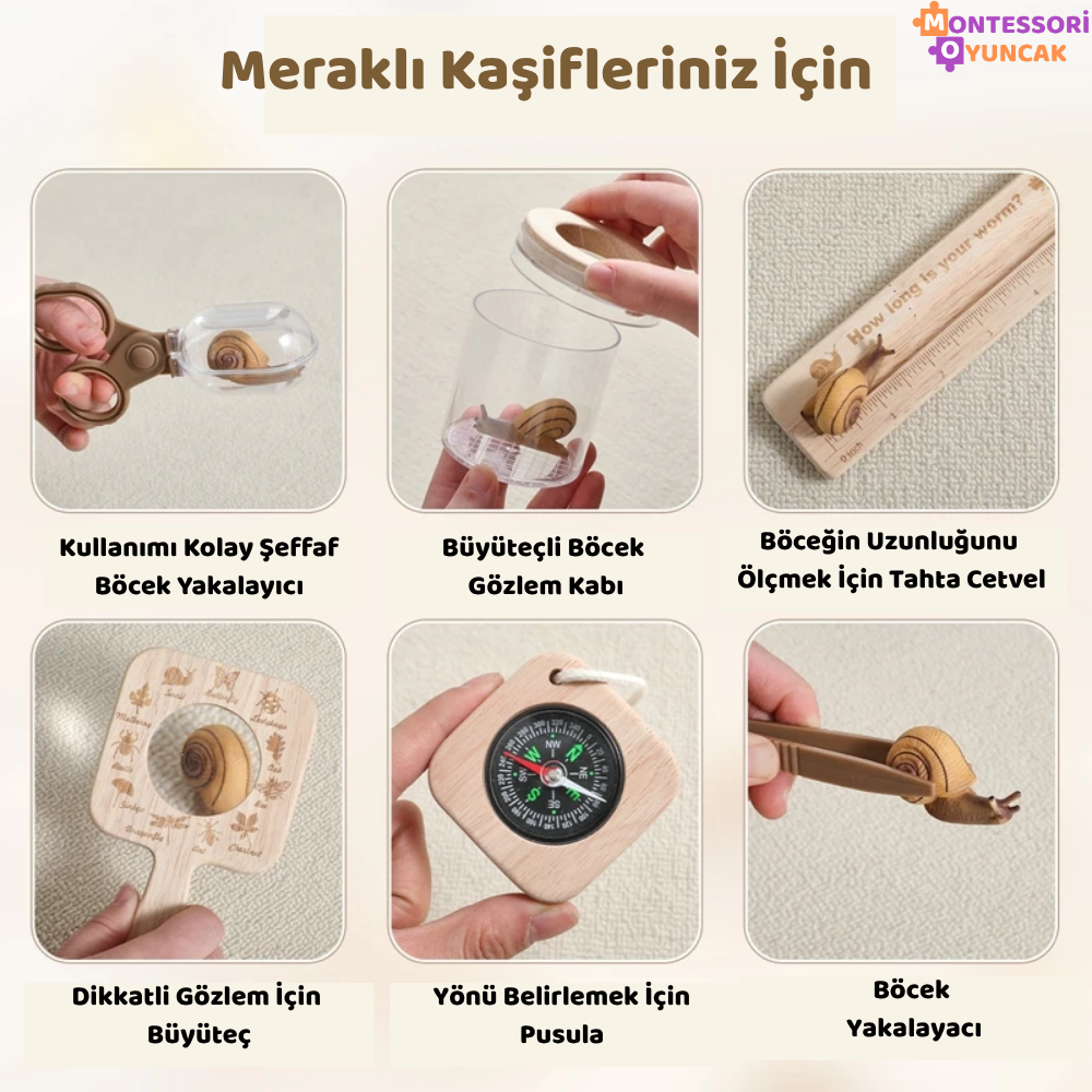 Montessori Böcek İnceleme Seti