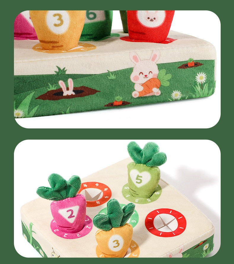 Montessori Havuç Oyuncağı