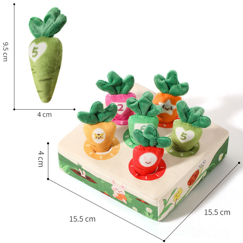 Montessori Havuç Oyuncağı