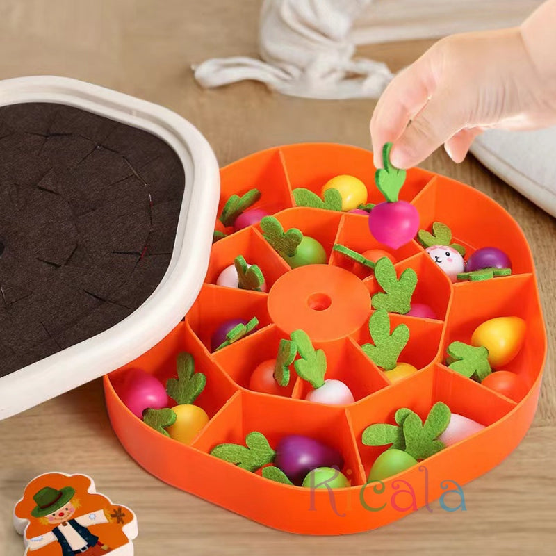 Montessori Havuç Çekme Oyuncağı