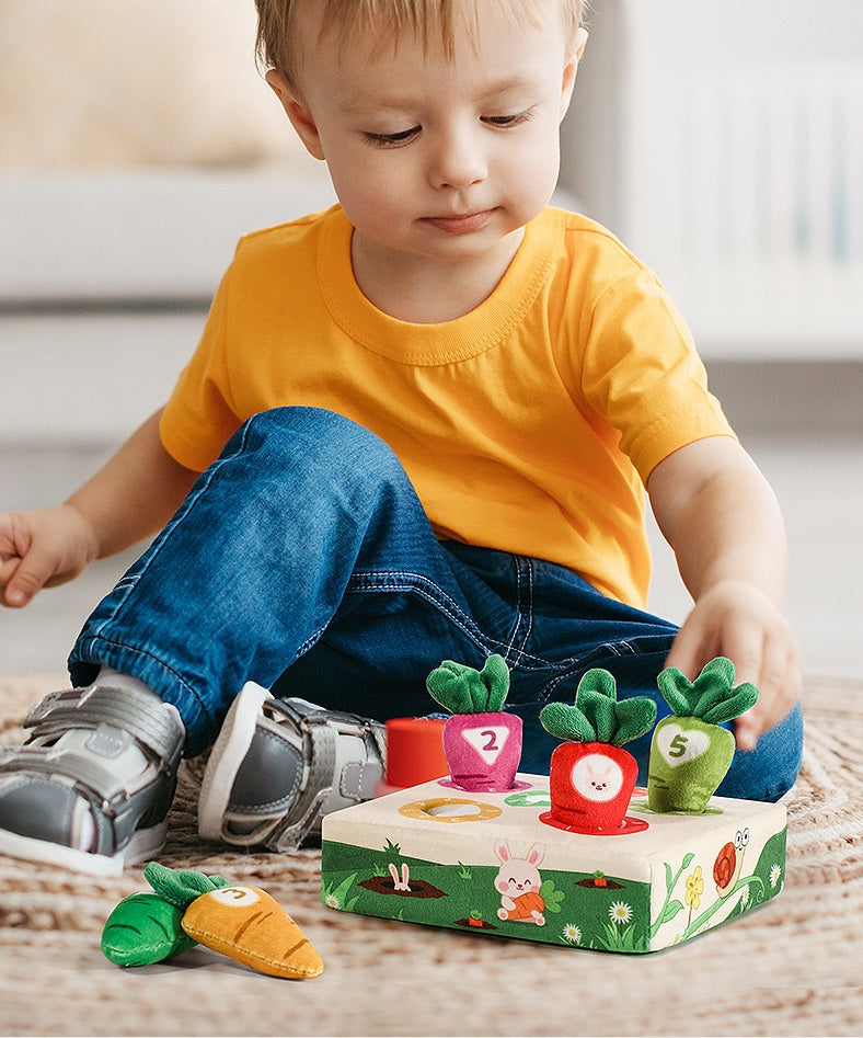 Montessori Havuç Oyuncağı
