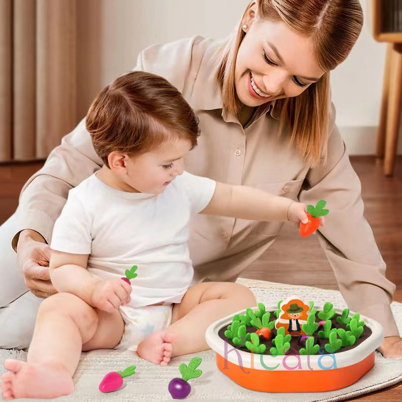 Montessori Havuç Çekme Oyuncağı
