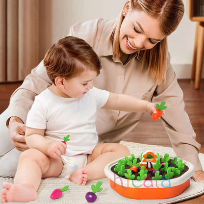 Montessori Havuç Çekme Oyuncağı